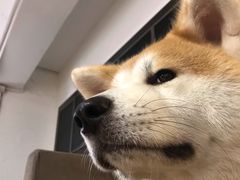 -YCHL Studios健身工作室(市二宫店)