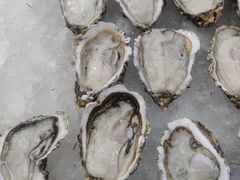 -渔港甄宴·海鲜·地标烟台菜(金沙滩店)