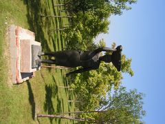 -长春世界雕塑园冰雪艺术天地