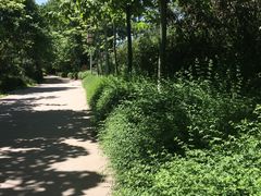 -宝鸡植物园