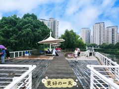 -新江湾城公园
