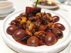 红烧肉-蝶园·装修中(BFC外滩金融中心店)