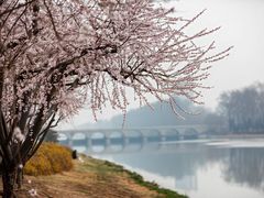 -紫光园·小馆(梨园店)