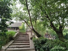 -乌镇景区