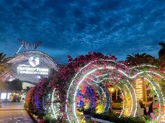 -三亚海昌梦幻海洋不夜城