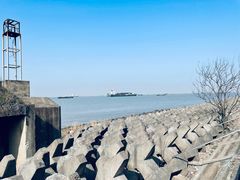 -上海滨江森林公园
