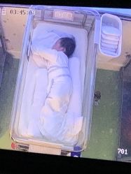 -添囍月子会所