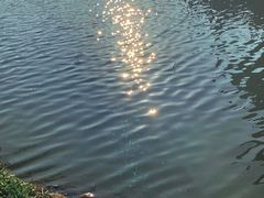 -珠海圆明新园