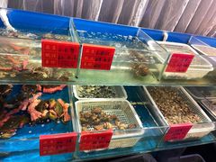 -华盛丰温州大排档(东三环南路店)