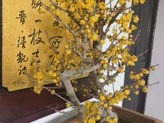 -无锡梅园公园
