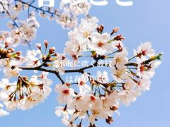 -龙美术馆(西岸馆)