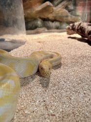 -Zoolung Zoolung动物主题公园(海信广场店)