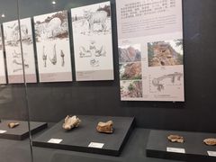 -北京周口店北京人遗址博物馆