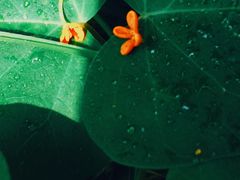 -天津东丽湖风景区