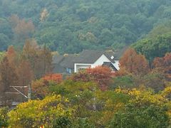 -西湖风景区-江洋畈生态公园
