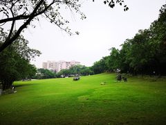 -广州雕塑公园