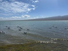-青海湖国家重点风景名胜区