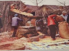 -华龙特色大骨鸡农家菜馆