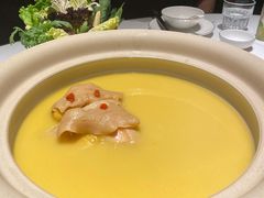 花胶鸡汤锅-领鲜天下·焗海鲜·花胶鸡(天目里店)