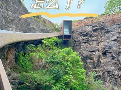 -上海辰山植物园