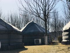 -九十九顶毡房(阜石路店)