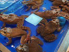 -黑金·寻焰自助百汇·烤肉·火锅(中街店)