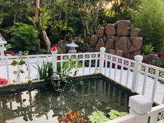 -深圳仙湖植物园