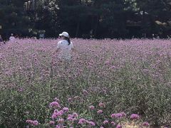 -云峰山自然风景区