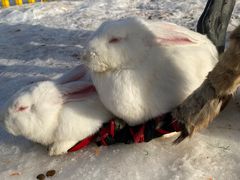 -绿野森林乐园冰雪季