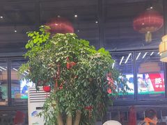 -杯莫亭(集里店)