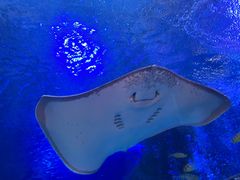 -太平洋海底世界