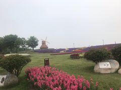-杭州湾海上花田景区