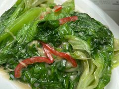 -肥仔文澳门猪骨煲(南京西路店)