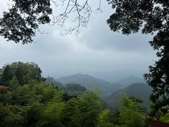 -莫干山风景区
