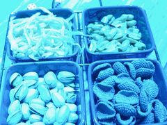 -Z+KTV自由港PLUS(仲盛店)