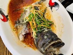 清蒸石斑鱼-这片海·海景餐厅(博鳌店)