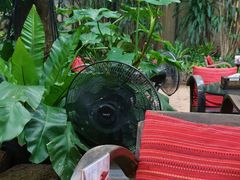 -Fern Forest Cafe