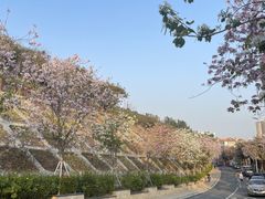 -小南山公园