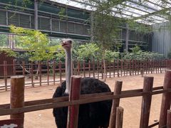 -呀路古热带植物园