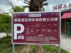 -靖西鹅泉风景区