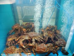 -鲜味食族水产·海鲜餐厅