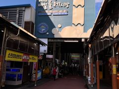 -西归浦每天偶来市场