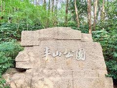 -杭州半山国家森林公园