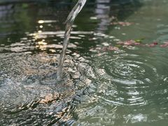 -宁海森林温泉