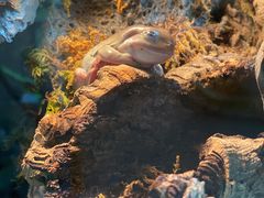 -厦门园林博览苑