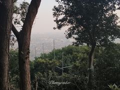 -雨花胜境