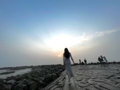 -南汇嘴观海公园