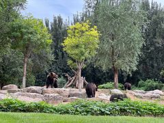 -北京野生动物园