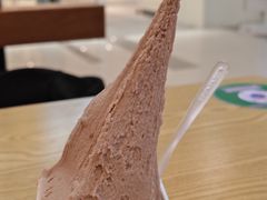 -野人先生Gelato(上海长宁龙之梦店)