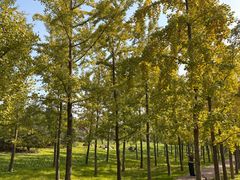 -汉长安城未央宫国家考古遗址公园